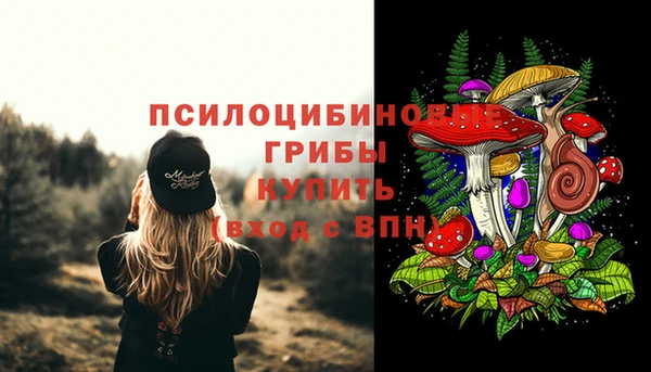 гидра Балабаново