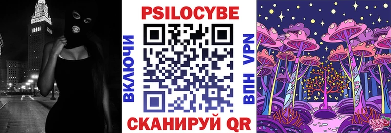 наркотики  Можга  Псилоцибиновые грибы Psilocybine cubensis 